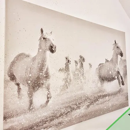 Apartamento Evasion & Elegance -